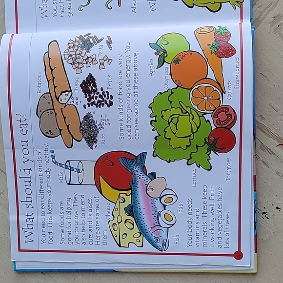 The Usborne Flip-Flap Body Book - Picture 4 of 11